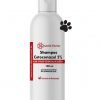 Shampoo Cetoconazol